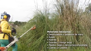 Tutorial Cómo eliminar Cortaderia mediante ocultación [upl. by Jarrid67]