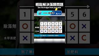 輕鬆解決藻類問題 Easy to Solve the algae problem in aquarium shorts [upl. by Strong]