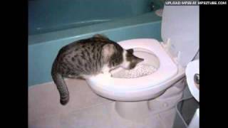 Stuart McLean  Toilet Training The Cat Part 1 [upl. by Lalage681]