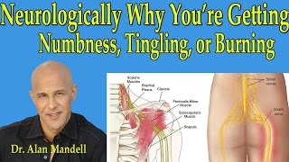 Doctor explains ITCHING ANUS  BOTTOM Pruritus Ani  Causes symptoms treatment [upl. by Rebmat]