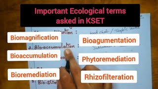 BiomagnificationBioaccumulationBioConcentrationBioremediation [upl. by Azilanna]