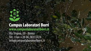 Scuola di Naturopatia Campus Laboratori Borri Full HD  Podcast di Naturopatia [upl. by Nnylasor]