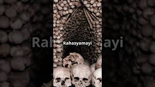 The Mysterious Catacombs of Paris An Underground World of 6 Million Bones facts sciencefacts iq [upl. by Mosera]