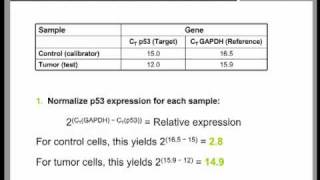 Real Time QPCR Data Analysis Tutorial part 2 [upl. by Lorelle]