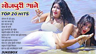 Top 20 hits भोजपुरी गाने Lagan Special चटकदार गाने Ankit Akela Bhojpuri Arkestra New Song 2024 [upl. by Aillil]