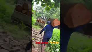 Timber Lodging 😢😢Like share subscribe 😢🤲🤲🤲😢😢😢 [upl. by Jehiah]