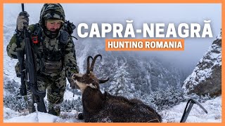 CHAMOIS HUNT ROMANIA 🔥 MOUNTAIN HUNTING CARPATHIAN CHAMOIS 🔥 CAPRA NEAGRA  WORLDS BIGGEST CHAMOIS [upl. by Llehsem]