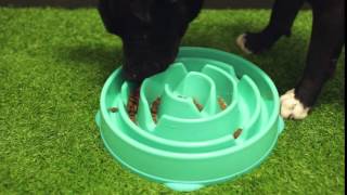 Slow Food Bowl from RSPCA World for Pets [upl. by Allehs]