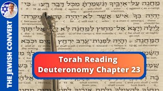 Deuteronomy Chapter 23  Torah Reading in Hebrew with English Translation  TORAH STUDY [upl. by Anavoig]