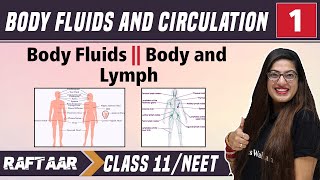 Body Fluids and Circulation 01  Body Fluids  Body and Lymph  Class 11NEET  RAFTAAR [upl. by O'Meara]