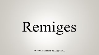 How To Say Remiges [upl. by Lovmilla]