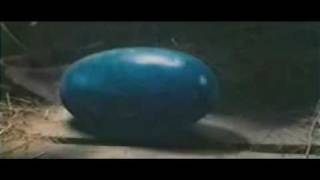 Eragon  Short TV Spot 1 in ITALIANO [upl. by Eenel]