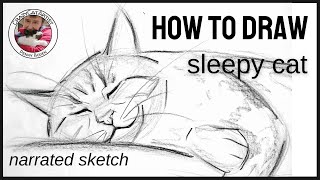 How to Draw Sleepy Tabby Cat Laying Down on Side smiley face forward view head shoulders and paw [upl. by Roseanne959]