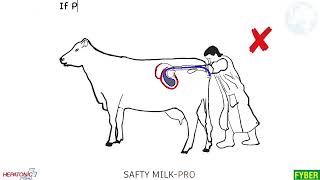 Why Brucellosis is Very common in veterinary professionals eraanimals veterinary cattles [upl. by Attinahs]