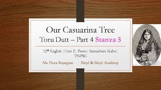 Our Casuarina Tree 12th English Stanza 5 Unit 2Samcheer Kalvi [upl. by Hsihsa101]