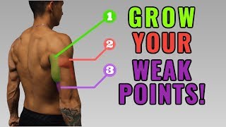 The Best ScienceBased Triceps Exercises for Each Head Work Your Weak Points [upl. by Sebastian311]