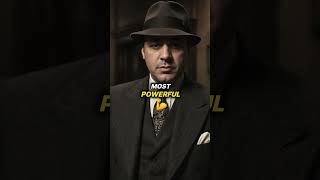 Insane Al Capone Facts facts amazingfacts didyouknowfacts alcapone [upl. by Larred]