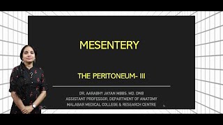 Mesentery [upl. by Euqnimod]