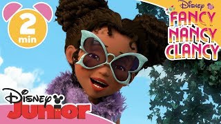 Fancy Nancy Clancy  Lær Bree at kende ⛸ Disney Junior Danmark [upl. by Erkan]