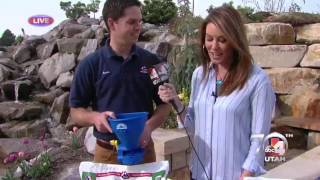 IFA Lawn Care Tips on Good4Utah [upl. by Yim]