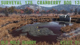 Fallout 76 Surveyal Project 175  Cranberry Bog 13  Old Mold Quarry [upl. by Adnorahc]