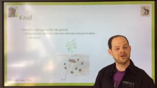 Biologie van Tim  Planten vermeerderen [upl. by Godred]