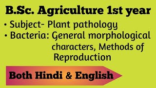 Bacteria General morphological characters Methods of Reproduction  BSc Ag 1st year [upl. by Euf5]