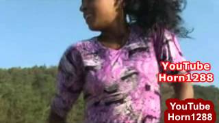 Best New Ethiopian Traditional Music [upl. by Assiron]