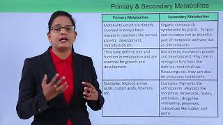 Class10th – Primary and Secondary Metabolites  Enzymes  Tutorials Point [upl. by Schuster]