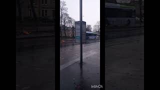 buses in Glasgow 6 [upl. by Vin187]