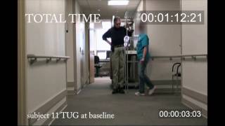 Intervention for MS gait and balance impairment – Video S1 128872 [upl. by Adnorahs]