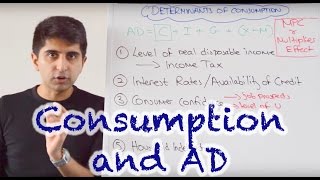 Y1 5 Consumer Spending and Aggregate Demand [upl. by Eoj]