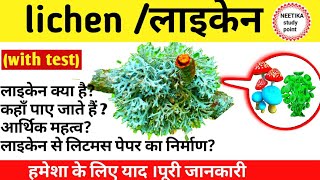 लाइकेन क्या है What Is Iichen In Hindi What Is Lichen In Biology  Economic Importance Of Lichen [upl. by Enelear359]