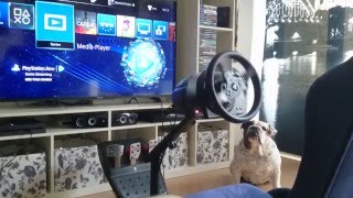 Thrustmaster T300 RS calibration failure [upl. by Aenotna]