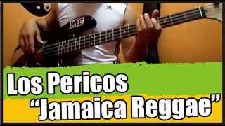 Los Pericos quotJamaica Reggaequot bajobass cover [upl. by Kotz813]