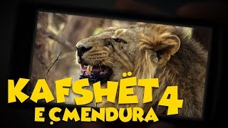 Kafshët e Çmendura  E4 [upl. by Ahseeyt]