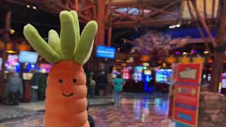 Jellycat Vivacious Carrot trip to CT dinosaur place Mohegan sun and mystic aquarium [upl. by Clerc]