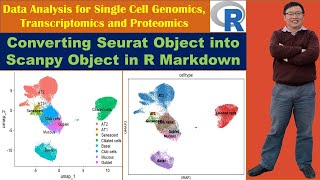 Converting Seurat Object into Scanpy Object in R Markdown [upl. by Ynnel]