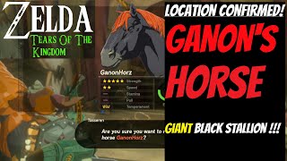 How to Get GANONS Horse  ZELDA Tears of the Kingdom LOZ TOTK Rare Horse [upl. by Kciregor]