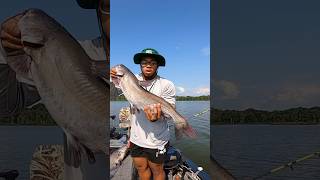 Catfishing with live bait fishing catfish fyp [upl. by Scoter]