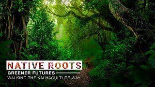 Native Roots Greener Futures  Trailer [upl. by Jew]