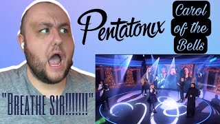 PTX quotCarol of the Bellsquot  Christmas Under the Stars  Voice Teacher Reaction [upl. by Anaihk790]