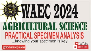 WAEC 2024  AGRIC SCIENCE PRACTICAL SPECIMEN [upl. by Busey590]