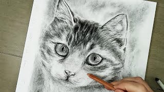 Realistic Art  How I Made This Fuzzy Little Face [upl. by Ralston475]