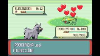 POKEMON EMERALD  POOCHYENA  ATRACCIÓN  ATTRACT [upl. by Osnofledi157]