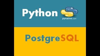 PostgreSQL Python Insert Data Into a Table [upl. by Elmo96]