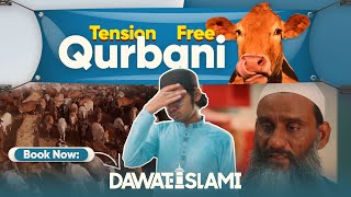 Tension Free Qurbani  Bakra Eid Special 2024  Online Qurbani Service  Cow Mandi [upl. by Newkirk]