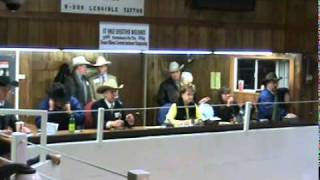 3 Andy White 2011 Greater Midwest Livestock Auction Competition [upl. by Narot]