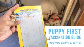 Puppy First Vaccination Guide  Dog Vaccine Price in India  Nobivac Vaccine [upl. by Shifra202]