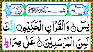 Surah Yasin🇵🇰سورةیسYaseen Full with Arabic  Yasin Sharif  Yaseen By Zikrullah Tilawat  yasin [upl. by Behm]